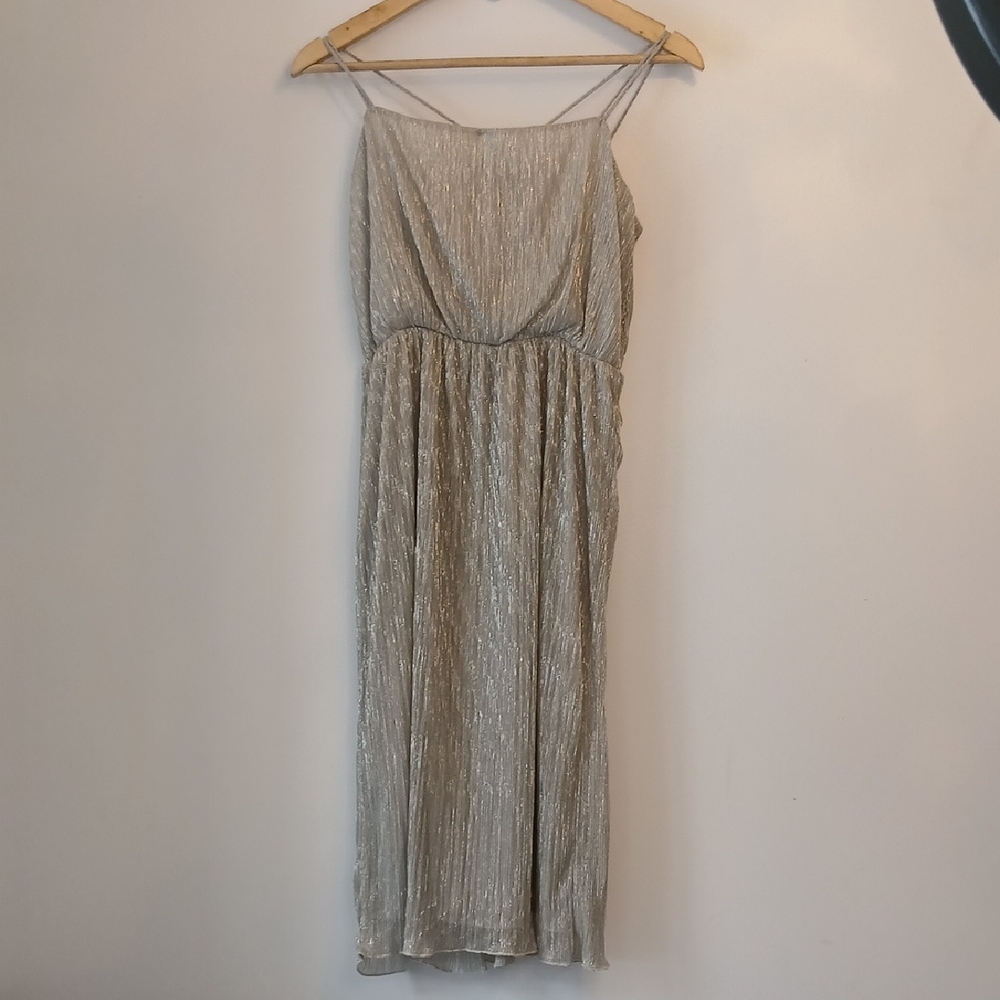 Zara Shimmering Silver Midi Dress